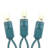 Outdoor 50 - Bulb 288'' Plug-in LED Wide Angle LED String Light-1098041382-1098041383