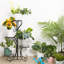 Barfleur Plant Stand
