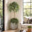 72'' Artificial Ficus Tree in Pot