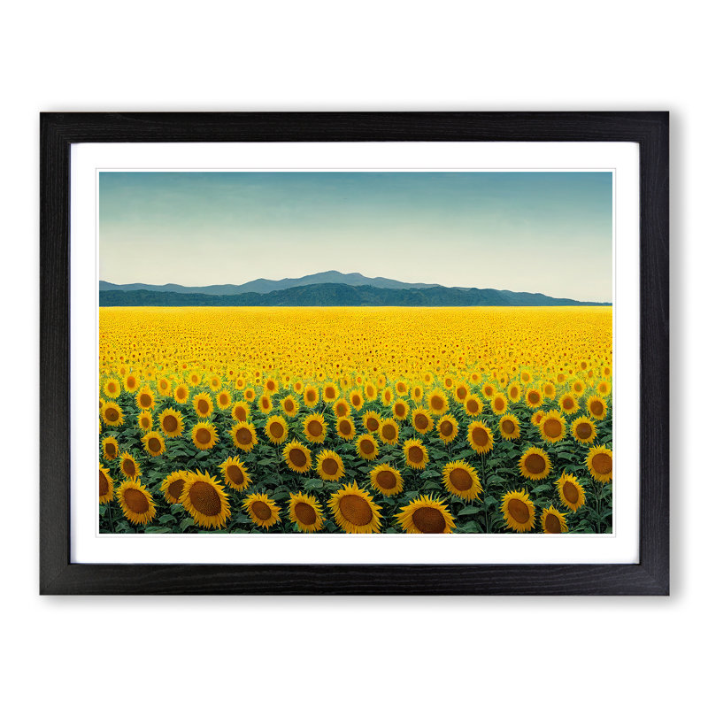Extraordinary Sunflower Field - Single Picture Frame Print, 46cm H x 64cm W x 2cm D, Black Framed