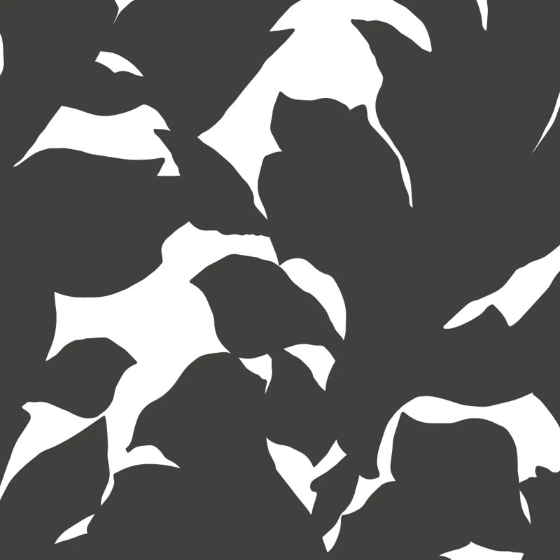 Rouleau de papier peint L 10 pi x l 24 po Holly, Noir de jais, Auto-adhésif, Vinyl