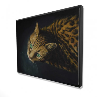 " Bengal Cat "