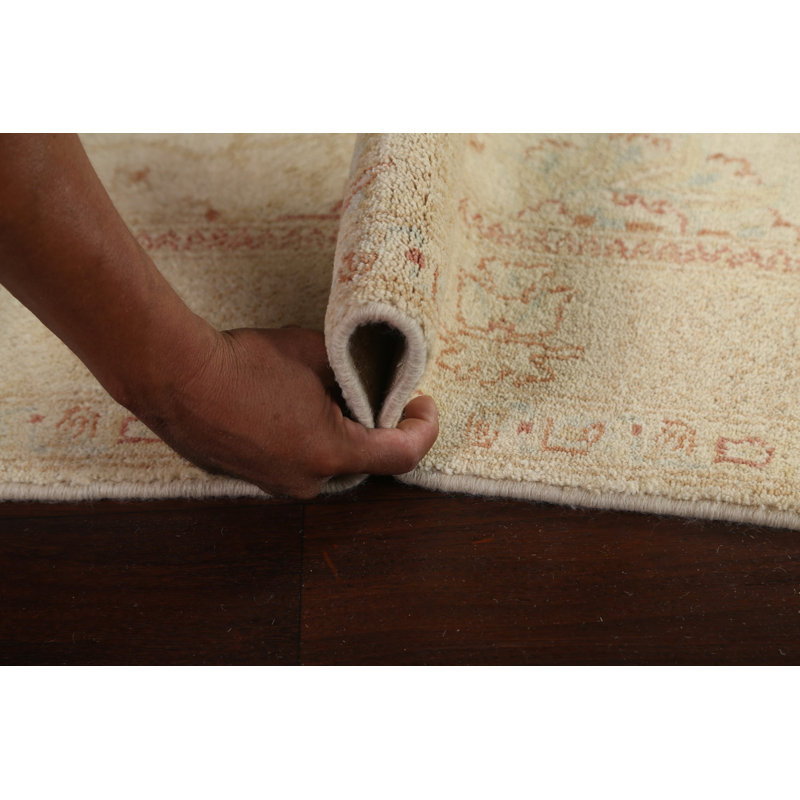 Tapis de couleur végétale Peshawar Chobi noué à la main 4 x 6