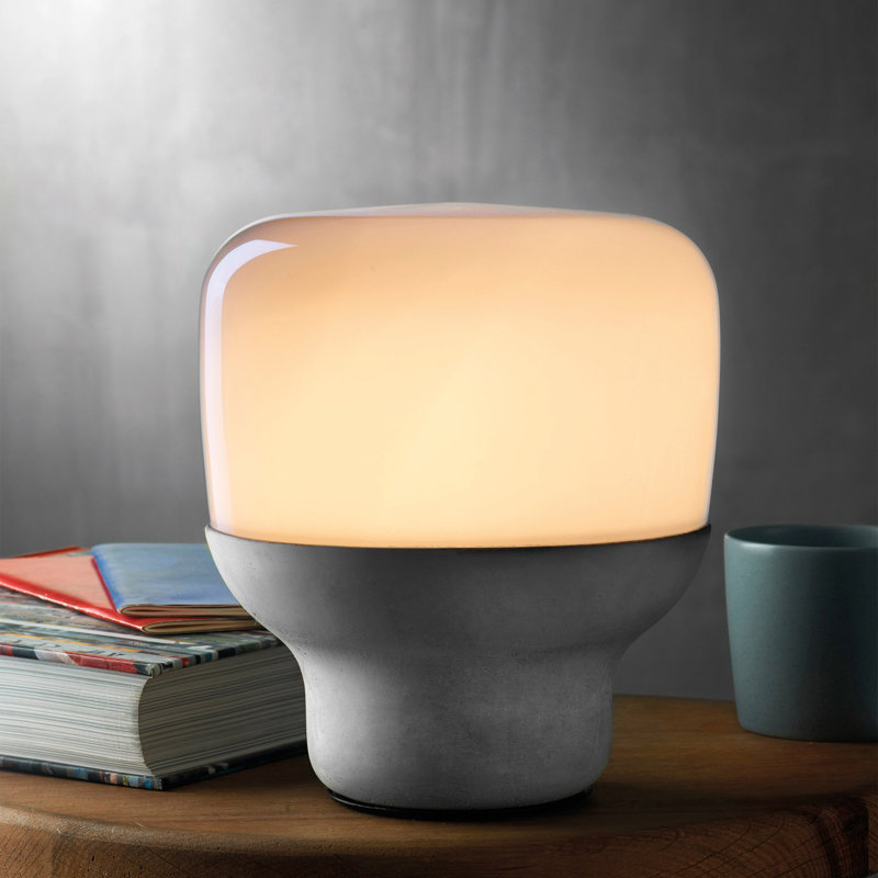 Smooth Concrete Novelty Lamp