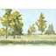 Bright Forest IV Painting by Giselle Kelly-64167659
