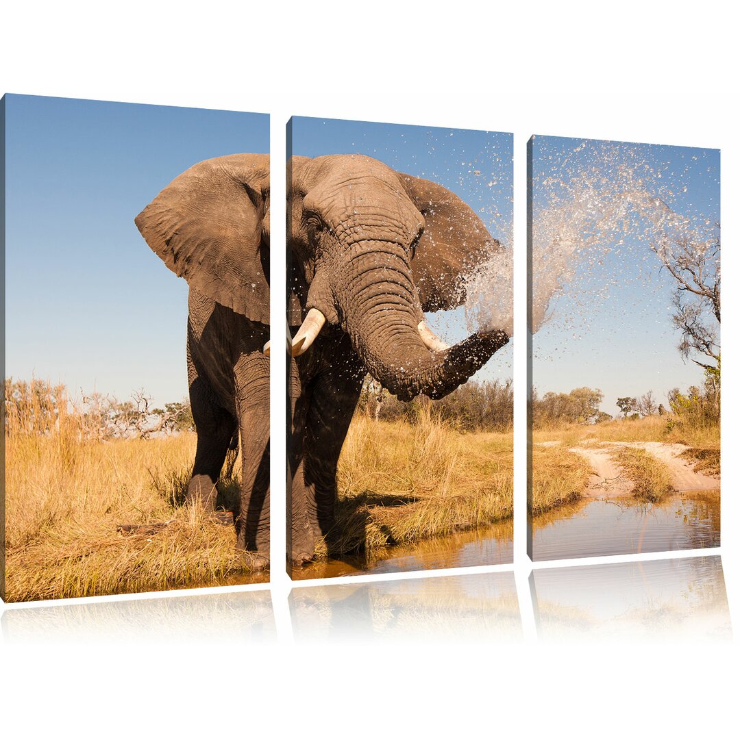 3-tlg. Leinwandbilder-Set Schöner Elefant spritzt mit Wasser, Fotodruck