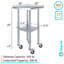 20 In. X 20 In. Stainless Steel Table With Wheels
