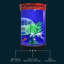 Aquarium 19 à 19 gallons-1639413055