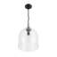 Luminaire suspendu 1 lumière Hansley noir mat avec verre transparent