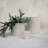 Cloudy Ceramic Pot Planter-48408629-66917644
