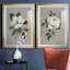 Magnolia botanique - ensemble de 2 reproductions d'art-512224798-512224788-512224786