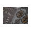 Wool Oriental Area Rug