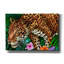  «Jaguar» par Tim Jeffs, art mural sur toile-1231081118