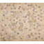 Angulo Cowhide Geometric Area Rug in Cream-1277670227