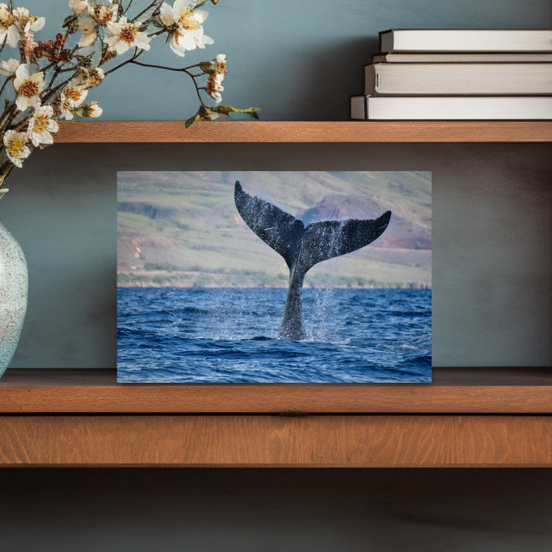 Contemporary Art Contemporary Whale Nature Ocean Wall Art by Carolina Garcia-Paris - Wrapped Canvas Print