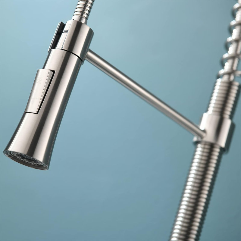 Ufaucet Kitchen Faucet Side Spray
