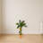Banana Artificial Tree in Terracotta Planter