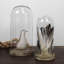 Sculpture Ravneet