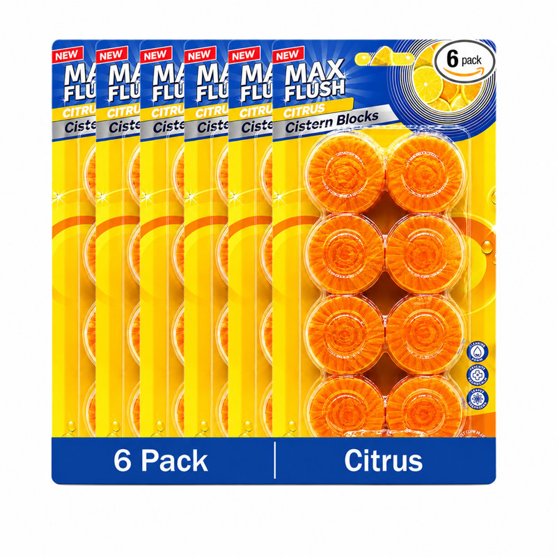 Toilet Cistern Blocks Multiple Fragrance Toilet Freshener Tablet 50G Automatic Toilet Care And Flush Colouring Block Pine Pack Of 6