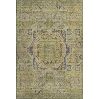 Premium Machine Washable Lubbers AMF1743 Global Rug