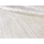 Area Rug in Beige
