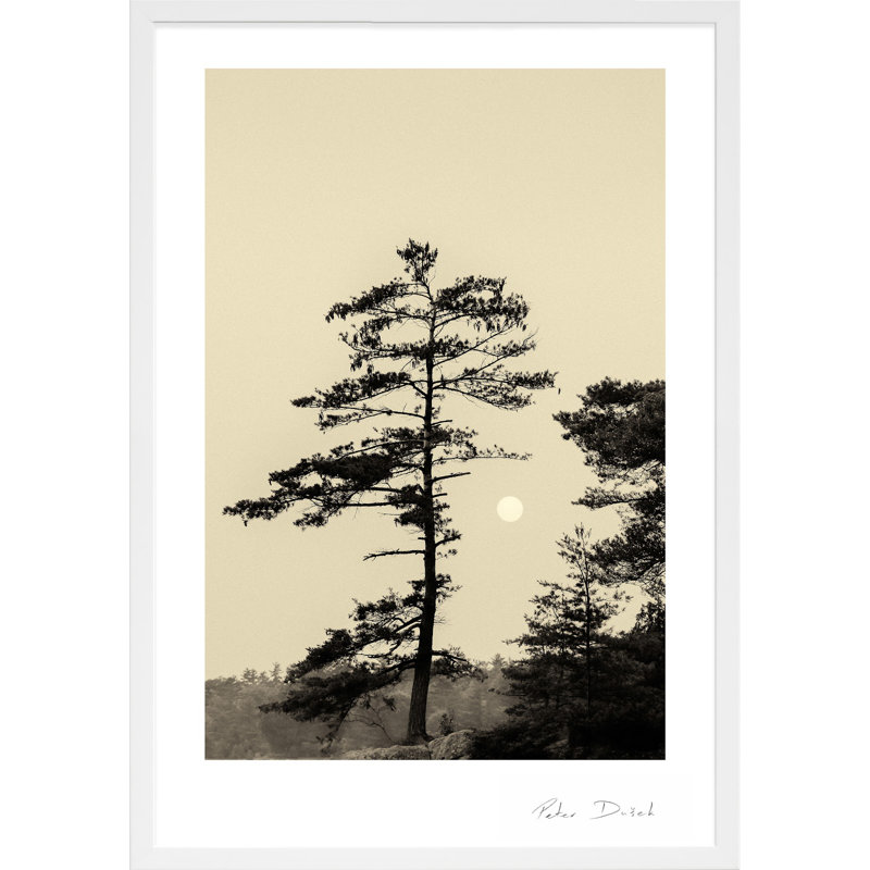 Serenity by Peter Dušek, 50" H x 35" W x 1.25" D, White