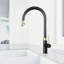 Bristol 19" H 1-handle Pull-Down 2-Function Sprayer Kitchen Faucet-100097142