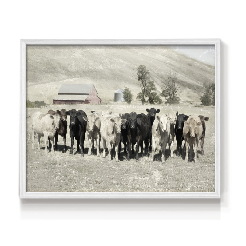Cattle Ranch -Framed Print - Restickable