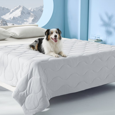 Couverture légère et réversible pour chien
