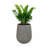 Barmore Pot Planter-1444433355-1430069472