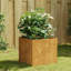 Planter Steel-384332080-380751735-380751728