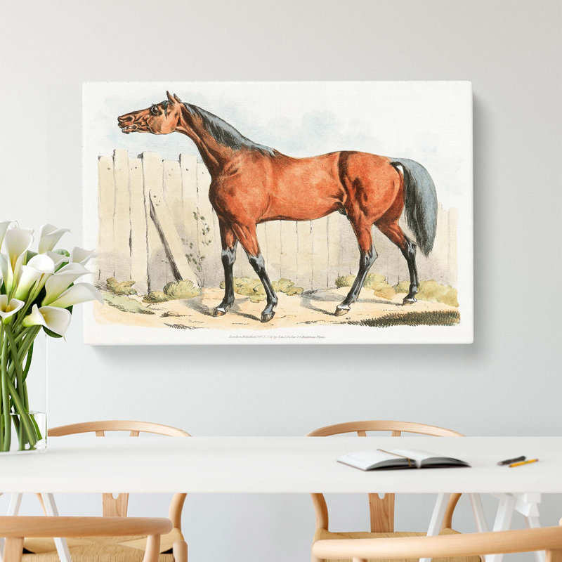 Dark-Brown Horse by Ohara Koson - Wrapped Canvas, 40cm H x 60cm W x 3cm D