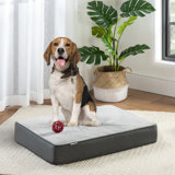 Orthopedic Polyester Pet Bed