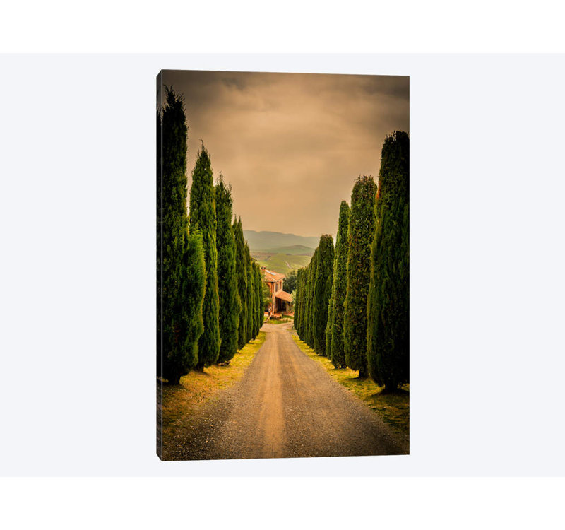Enzo Romano - Wrapped Canvas Print, 66.04 cm H x 45.72 cm W x 1.91 cm D