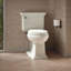 Memoirs 1.28 GPF (Water Efficient) Elongated Toilet Bowl with High Efficiency Flush (Seat Not Included)-6917634