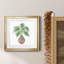 Boho Greenery I - peinture encadrée-1557544256-1557544263