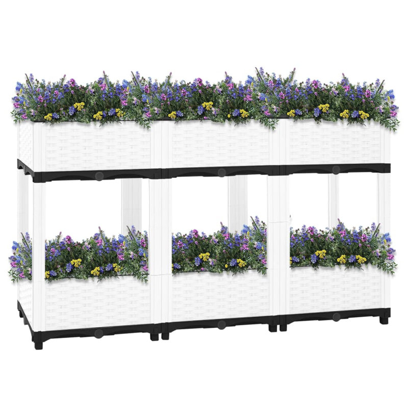 Ophelia & Co. Raised Bed 120X40x71 Cm Polypropylene, 71 cm H x 120 cm W x 40 cm D