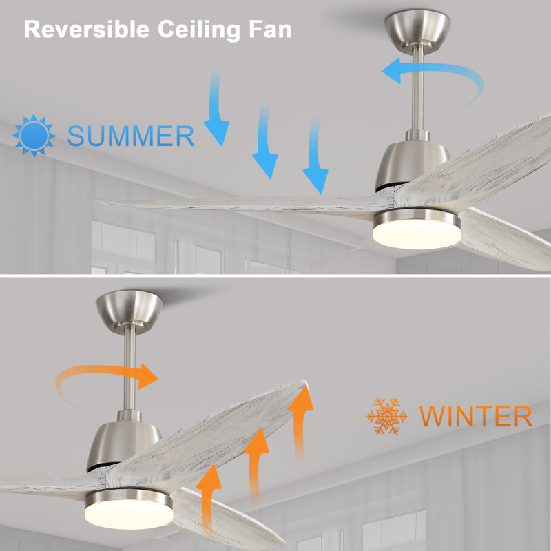 Nicola 56" W 3-Blade LED Propeller Ceiling Fan, Brushed Nickel with Grey Blades