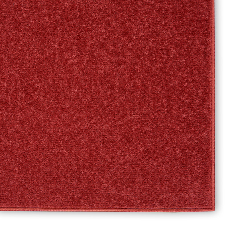 Tapis intérieur / extérieur rouge Mullican Sandy, Tapis de couloir 2 pi 2 po x 14 pi