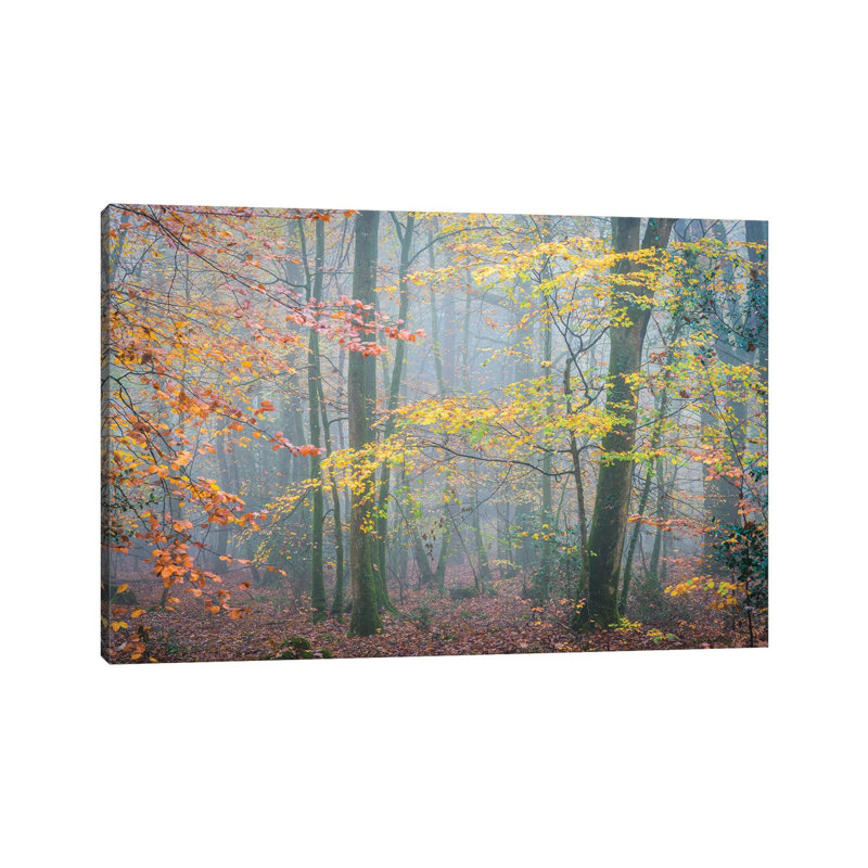 October Forest Mood by Philippe Manguin - Wrapped Canvas Painting, 30.48cm H  x  45.72cm W  x 1.905cm D