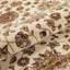 Oriental Area Rug-1100182453