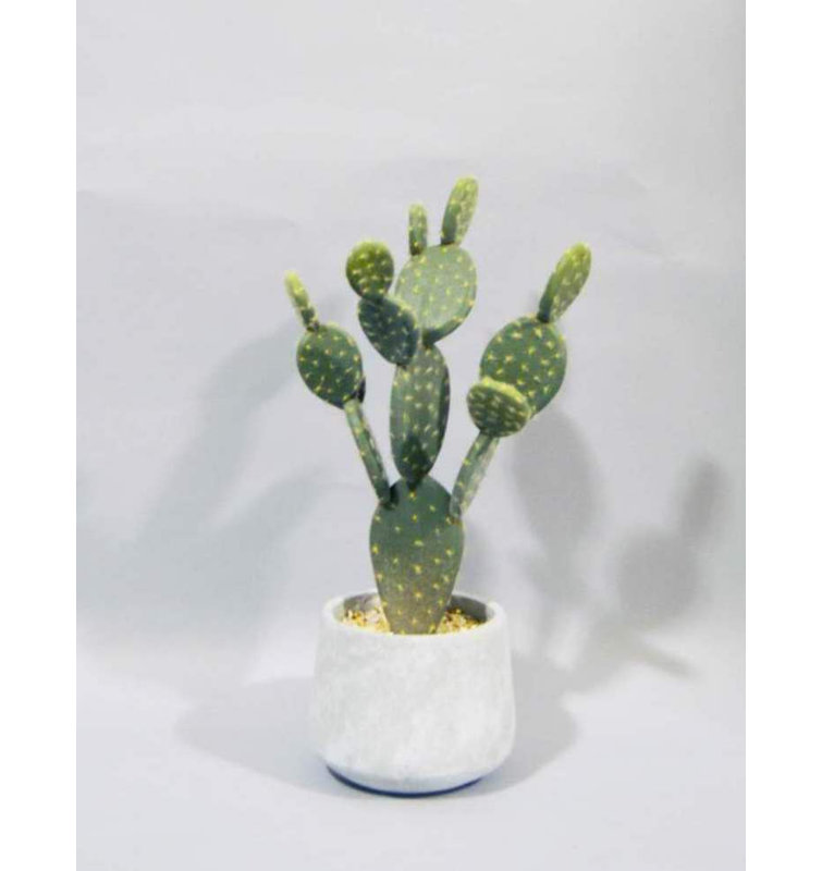 Grand pot à cactus, PU, ​​20''
