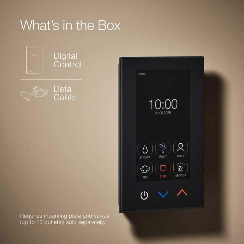DTV Digital Interface