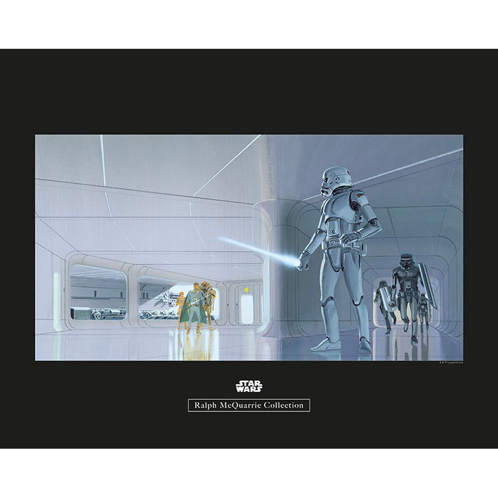 Poster Star Wars Stormtrooper Flur