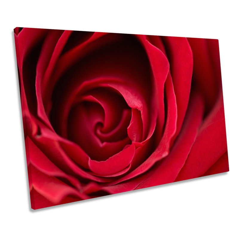 Rose Flower - Wrapped Canvas Print, 61cm H x 91.4cm W x 4cm D
