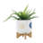 Includes plant rack flower pots