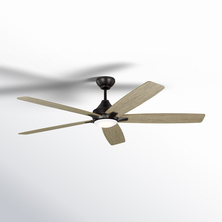 Lise 60'' 5 Blade Ceiling Fan with LED Light Kit