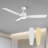 Emidia 52'' Standard Ceiling Fan with LED Lights White-144309680-147317770