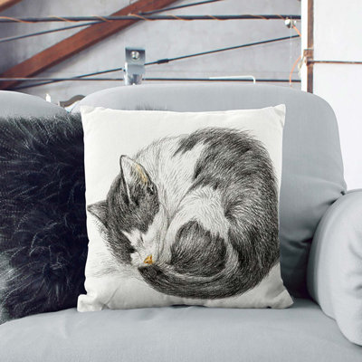 Square Cushion