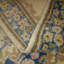 Oriental Area Rug in Beige